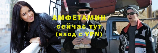 шишки Абаза