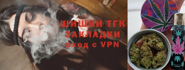 шишки Абаза