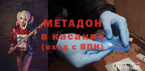 шишки Абаза