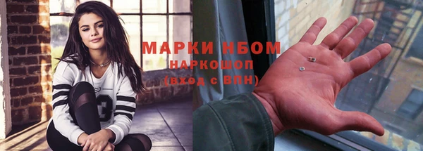 шишки Абаза