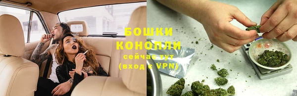 шишки Абаза
