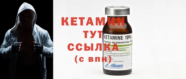 шишки Абаза