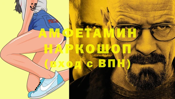 шишки Абаза