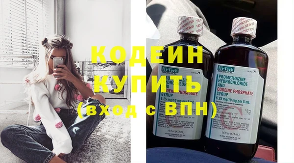 шишки Абаза