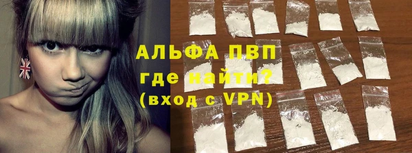 шишки Абаза