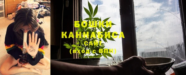 шишки Абаза