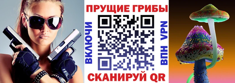 купить наркотики цена  Лодейное Поле  Псилоцибиновые грибы MAGIC MUSHROOMS 
