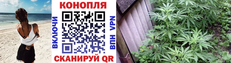 Канабис план  купить наркоту  Лодейное Поле 